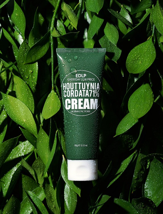 Заказать онлайн Derma Factory Увлажняющий крем с экстрактом хауттюйнии Houttuynia Cordata 71% Cream в KoreaSecret